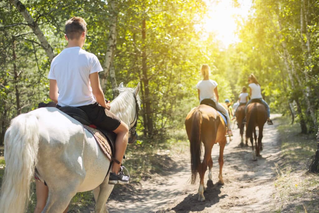 Un jeune cavalier sur cheval blanc en tête d'une balade à cheval dans une forêt ensoleillée, suivi par d'autres.