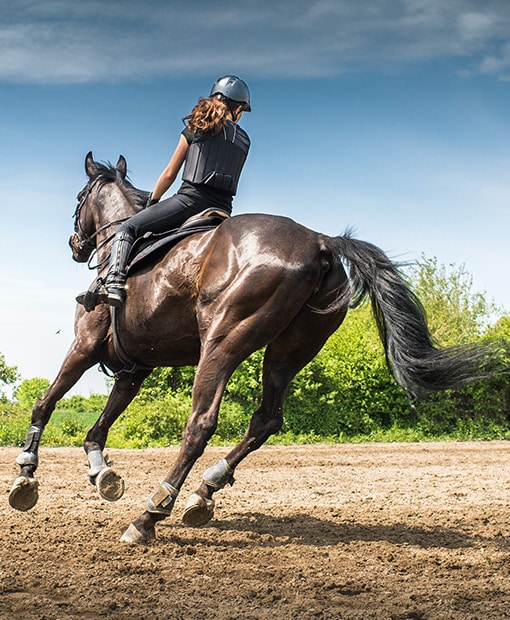 Jeune femme en casque et gilet de protection galopant sur un cheval brun foncé sur une piste de sable ensoleillée, ciel bleu en fond.