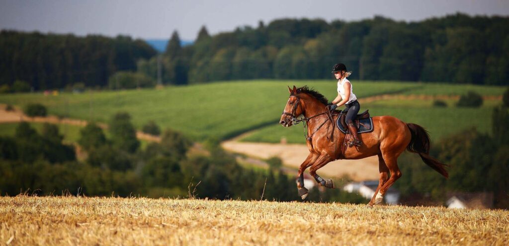 Cavalière blonde galopant sur un cheval bai à travers un champ moissonné. Le paysage flou montre des collines verdoyantes et des forêts sous un ciel clair.