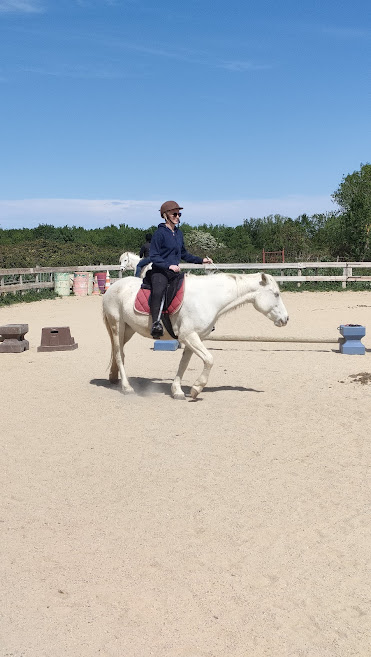 Cavalier avec casque et lunettes sur un cheval blanc marchant dans une carrière de sable ensoleillée. Arbres, clôture et poney en arrière-plan.