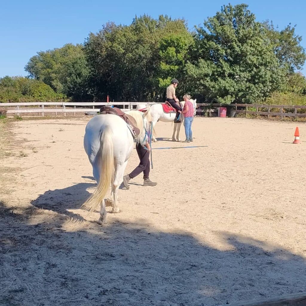 Deux chevaux blancs sellés dans un manège de sable. Un cavalier est sur l'un, aidé par un instructeur. Une personne guide l'autre cheval.