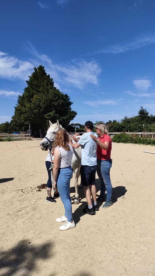 Quatre personnes interagissent calmement avec un cheval gris dans une carrière de sable en extérieur, sous un ciel bleu avec des arbres.