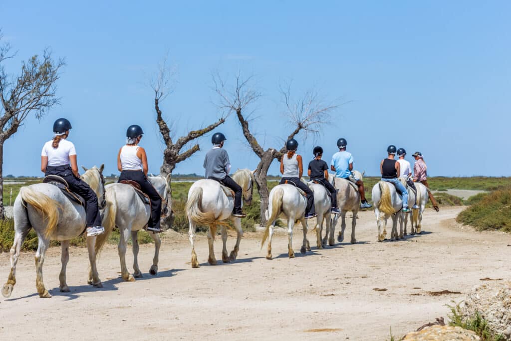 Randonnée à cheval en Camargue : cavaliers sur des chevaux blancs immaculés marchant sur un chemin de terre ensoleillé sous un ciel bleu.