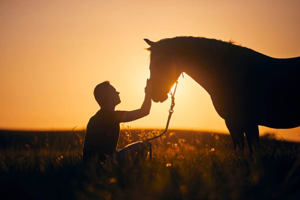 Silhouette d'un homme caressant doucement son cheval dans un champ lors d'un coucher de soleil doré.